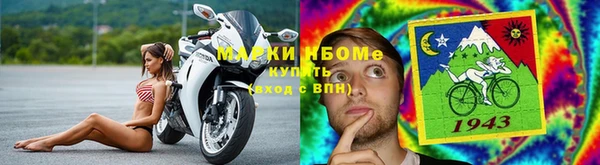 тгк Михайлов