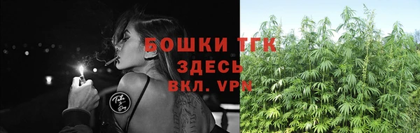 стафф Михайловск
