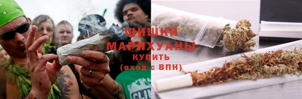 стафф Михайловск