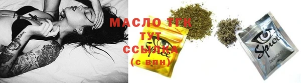 тгк Михайлов