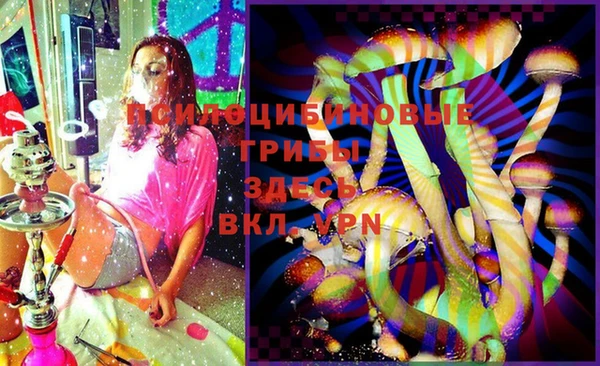 мяу мяу мука Михайловка