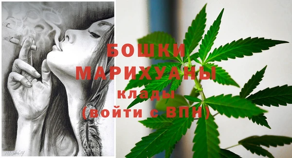 стафф Михайловск