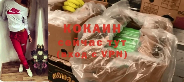 стафф Михайловск